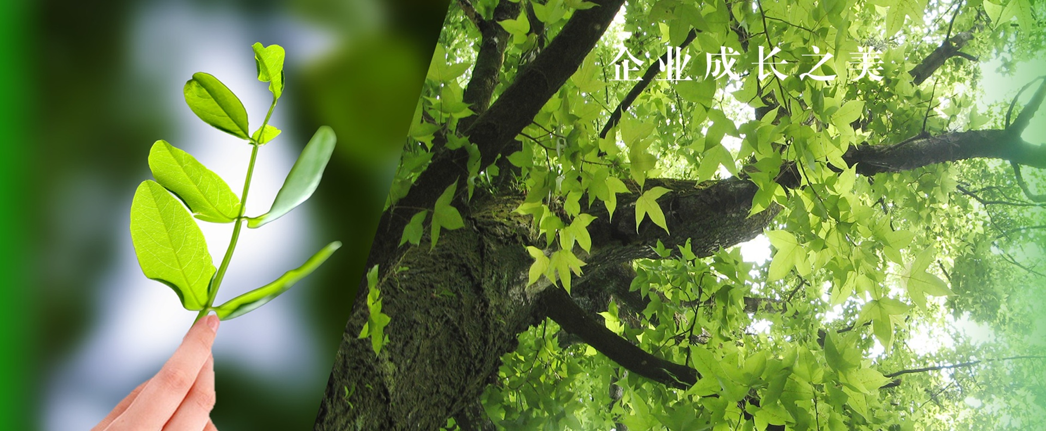 4_20250609_17494539327317090