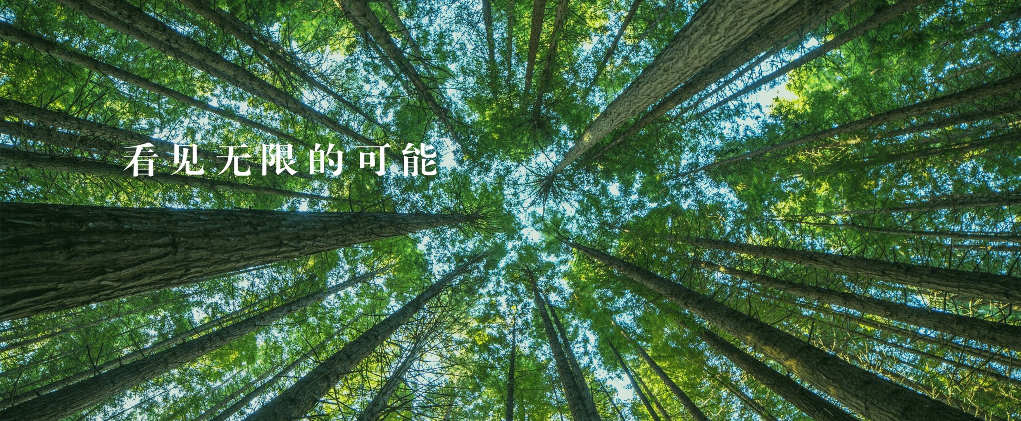 3_20250609_17494554032855020